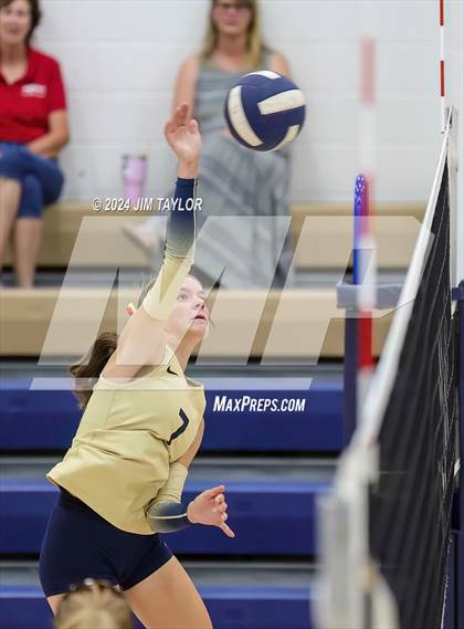 Thumbnail 2 in Santo @ Perrin_Whitt photogallery.