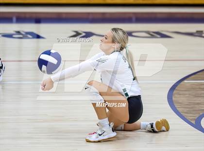 Thumbnail 2 in Santo @ Perrin_Whitt photogallery.