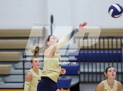 Thumbnail 1 in Santo @ Perrin_Whitt photogallery.