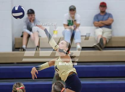Thumbnail 1 in Santo @ Perrin_Whitt photogallery.