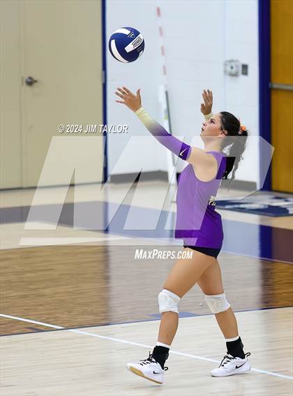 Thumbnail 2 in Santo @ Perrin_Whitt photogallery.
