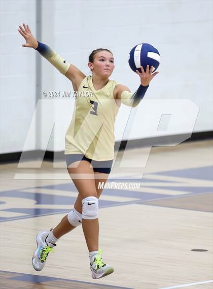 Thumbnail 3 in Santo @ Perrin_Whitt photogallery.