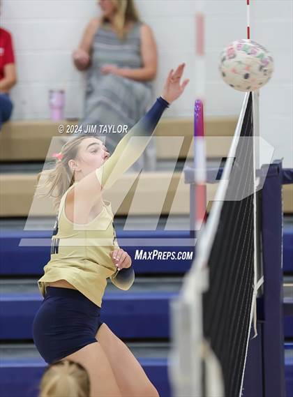 Thumbnail 1 in Santo @ Perrin_Whitt photogallery.