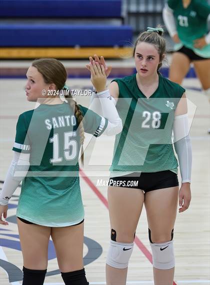 Thumbnail 2 in Santo @ Perrin_Whitt photogallery.