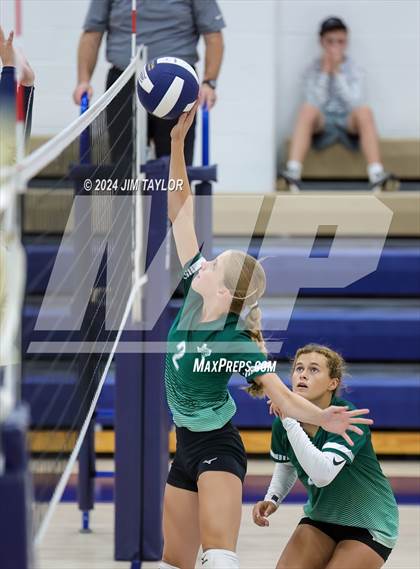 Thumbnail 3 in Santo @ Perrin_Whitt photogallery.