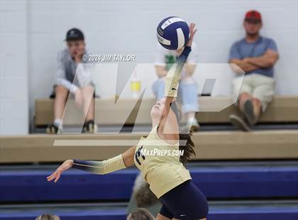 Thumbnail 3 in Santo @ Perrin_Whitt photogallery.