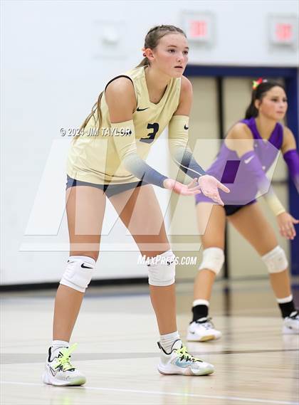 Thumbnail 3 in Santo @ Perrin_Whitt photogallery.