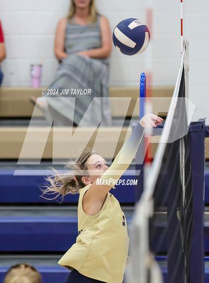 Thumbnail 3 in Santo @ Perrin_Whitt photogallery.