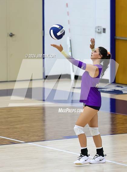 Thumbnail 1 in Santo @ Perrin_Whitt photogallery.