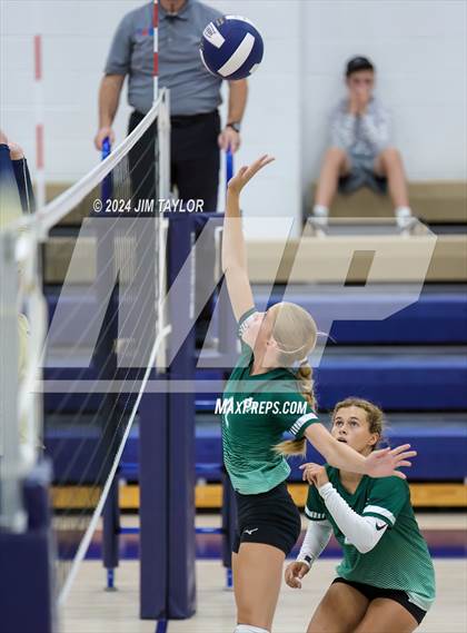 Thumbnail 2 in Santo @ Perrin_Whitt photogallery.