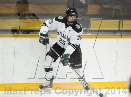 Thumbnail 3 in Delbarton @ Brunswick photogallery.