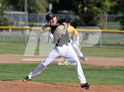 Thumbnail 2 in Tokay @ Tracy photogallery.