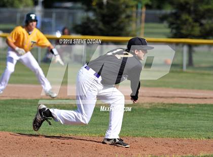 Thumbnail 2 in Tokay @ Tracy photogallery.