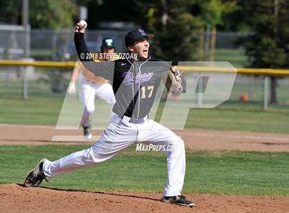 Thumbnail 3 in Tokay @ Tracy photogallery.