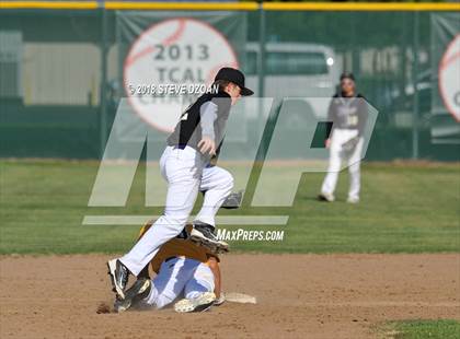 Thumbnail 1 in Tokay @ Tracy photogallery.
