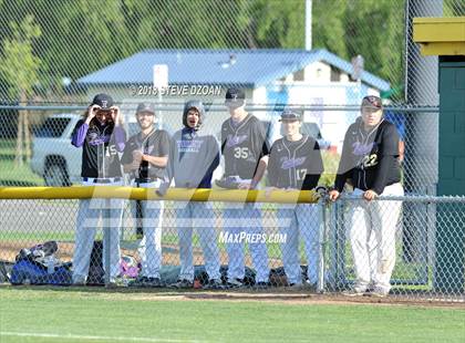 Thumbnail 2 in Tokay @ Tracy photogallery.