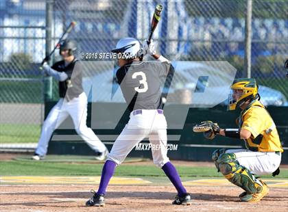 Thumbnail 3 in Tokay @ Tracy photogallery.