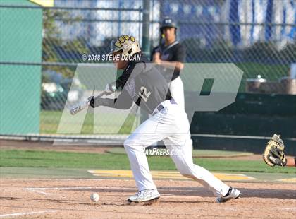 Thumbnail 3 in Tokay @ Tracy photogallery.
