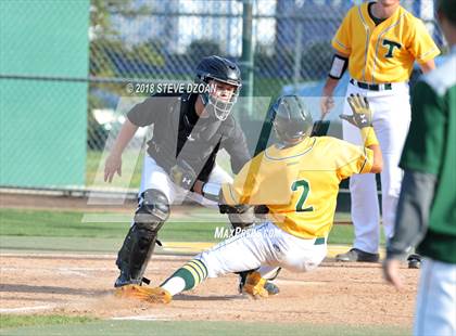 Thumbnail 1 in Tokay @ Tracy photogallery.