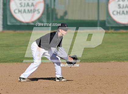 Thumbnail 3 in Tokay @ Tracy photogallery.