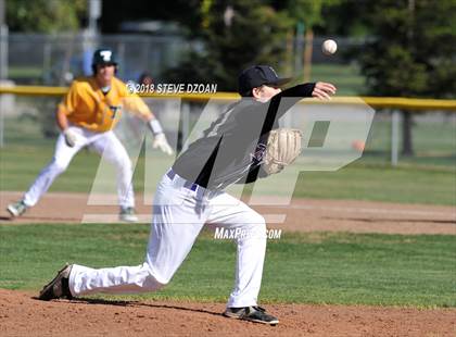 Thumbnail 1 in Tokay @ Tracy photogallery.