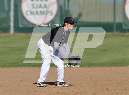 Thumbnail 2 in Tokay @ Tracy photogallery.