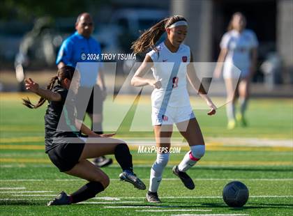 Thumbnail 1 in Putnam @ Westview photogallery.