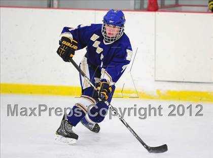 Thumbnail 3 in Newtown @ Shepaug/Litchfield/Nonnewaug photogallery.