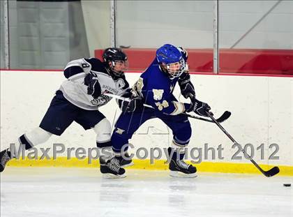 Thumbnail 2 in Newtown @ Shepaug/Litchfield/Nonnewaug photogallery.