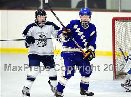 Thumbnail 1 in Newtown @ Shepaug/Litchfield/Nonnewaug photogallery.