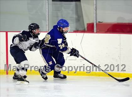 Thumbnail 1 in Newtown @ Shepaug/Litchfield/Nonnewaug photogallery.