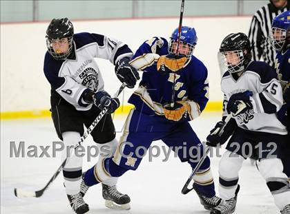 Thumbnail 1 in Newtown @ Shepaug/Litchfield/Nonnewaug photogallery.