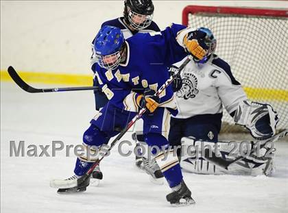 Thumbnail 3 in Newtown @ Shepaug/Litchfield/Nonnewaug photogallery.