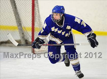Thumbnail 1 in Newtown @ Shepaug/Litchfield/Nonnewaug photogallery.
