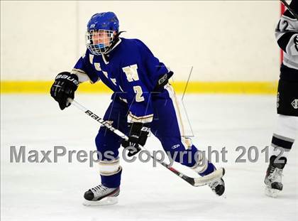 Thumbnail 1 in Newtown @ Shepaug/Litchfield/Nonnewaug photogallery.