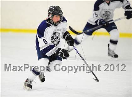 Thumbnail 1 in Newtown @ Shepaug/Litchfield/Nonnewaug photogallery.