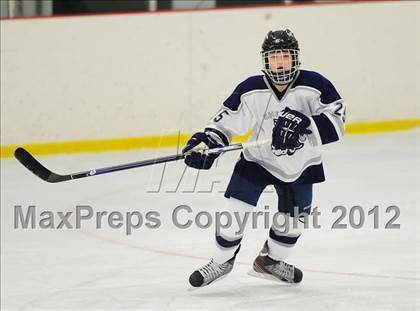 Thumbnail 3 in Newtown @ Shepaug/Litchfield/Nonnewaug photogallery.