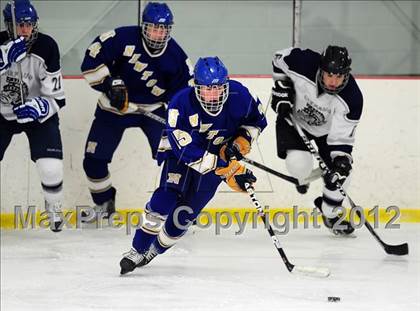 Thumbnail 1 in Newtown @ Shepaug/Litchfield/Nonnewaug photogallery.