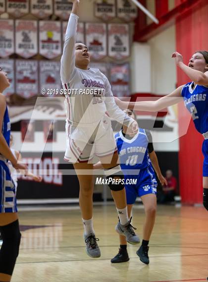 Thumbnail 3 in Paloma Valley vs. Beaumont (Nighthawk Tip-Off Classic) photogallery.