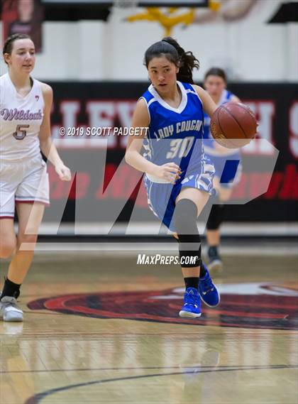 Thumbnail 1 in Paloma Valley vs. Beaumont (Nighthawk Tip-Off Classic) photogallery.