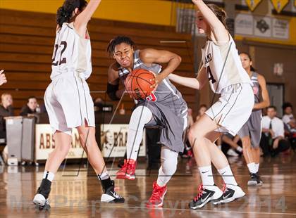 Thumbnail 1 in Vineland @ Absegami photogallery.