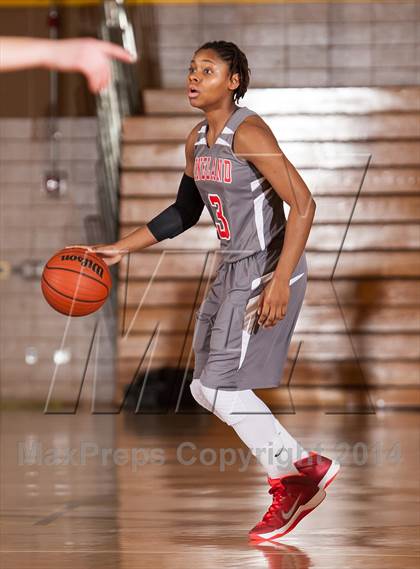 Thumbnail 1 in Vineland @ Absegami photogallery.