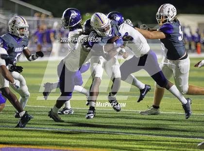 Thumbnail 2 in Spoto @ Lennard photogallery.