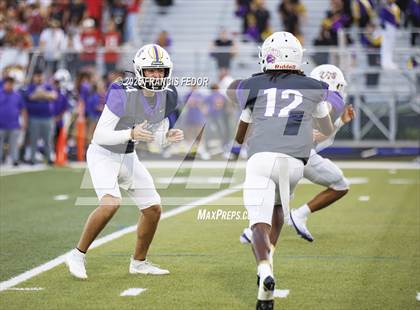 Thumbnail 3 in Spoto @ Lennard photogallery.