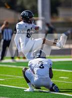 Photo from the gallery "Randle @ Terry"