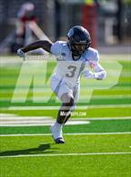Photo from the gallery "Randle @ Terry"