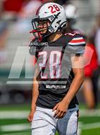 Photo from the gallery "Randle @ Terry"