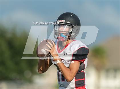 Thumbnail 1 in Langham Creek (JV Red) @ Cypress Ranch photogallery.