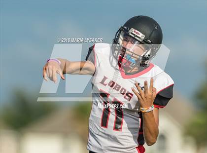 Thumbnail 3 in Langham Creek (JV Red) @ Cypress Ranch photogallery.