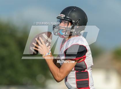 Thumbnail 3 in Langham Creek (JV Red) @ Cypress Ranch photogallery.
